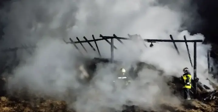 Горіло сіно: на Буковині трапилась масштабна пожежа