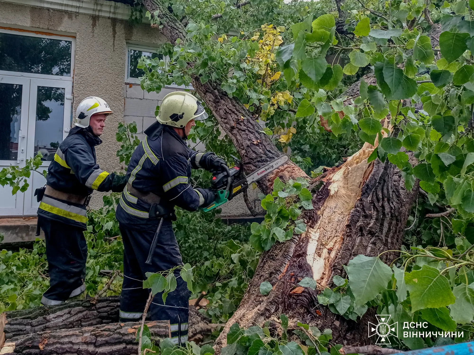 Погодні умови на Вінниччині: Падіння дерев та рятувальні операції