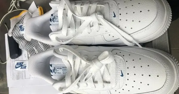Львівські митники вилучили у водія рейсового автобуса 229 пар кросівок Nike