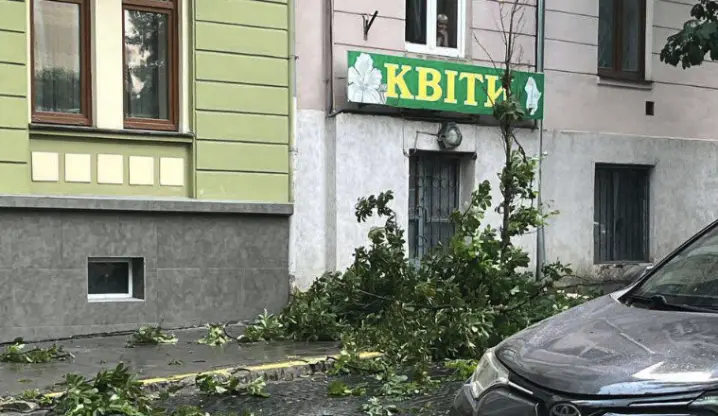Зображення