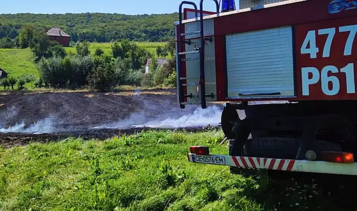 На Буковині за добу сталося дві пожежі на відкритій території