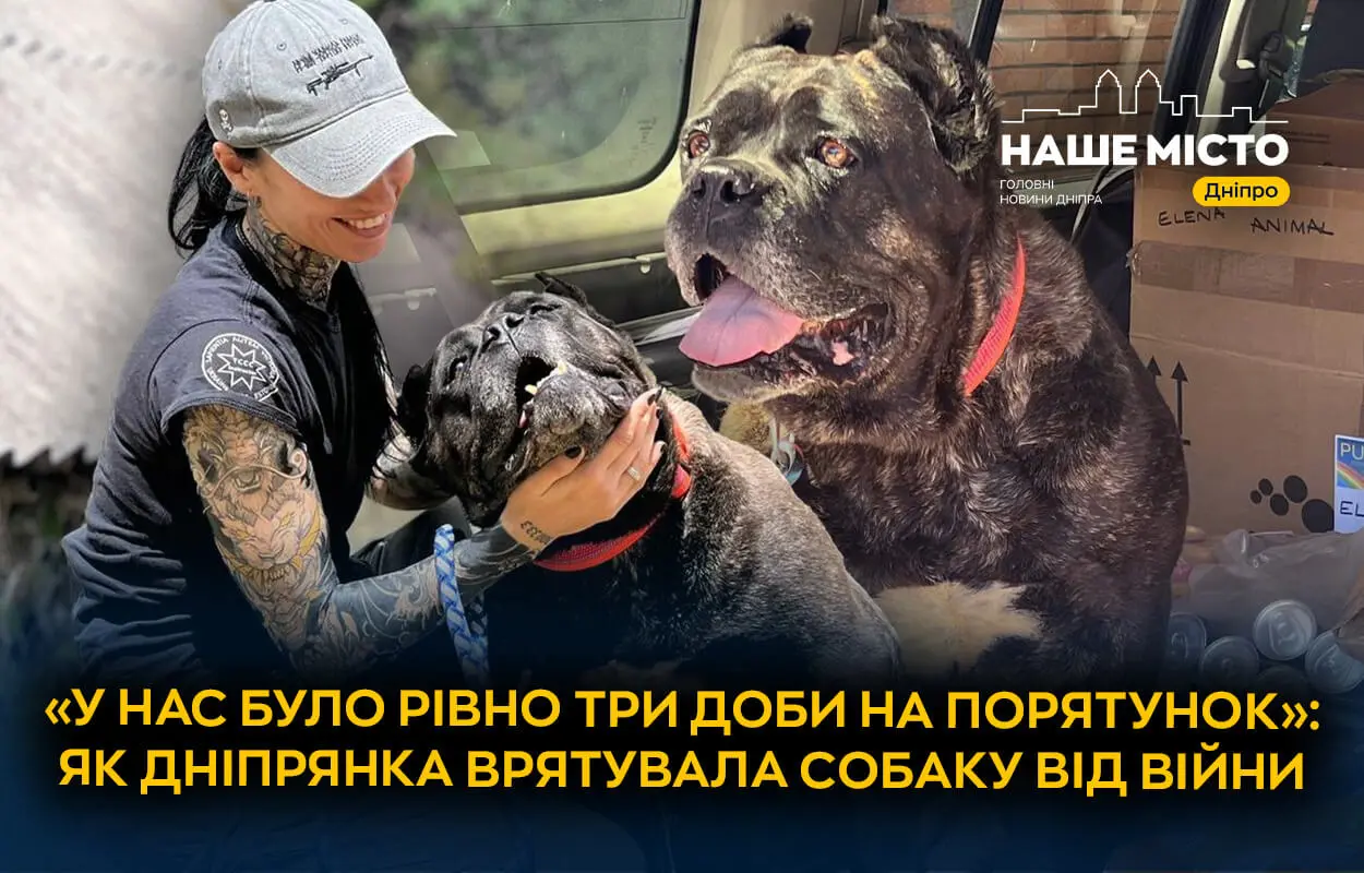 Не змогла пройти повз: як зооволонтерка з Дніпра врятувала собаку від війни