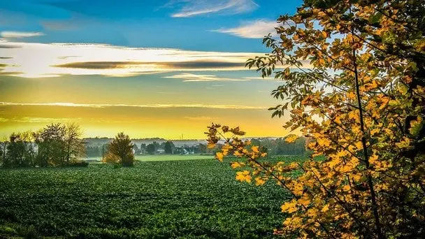 Якою погодою закінчиться літо в Україні: прогноз синоптиків