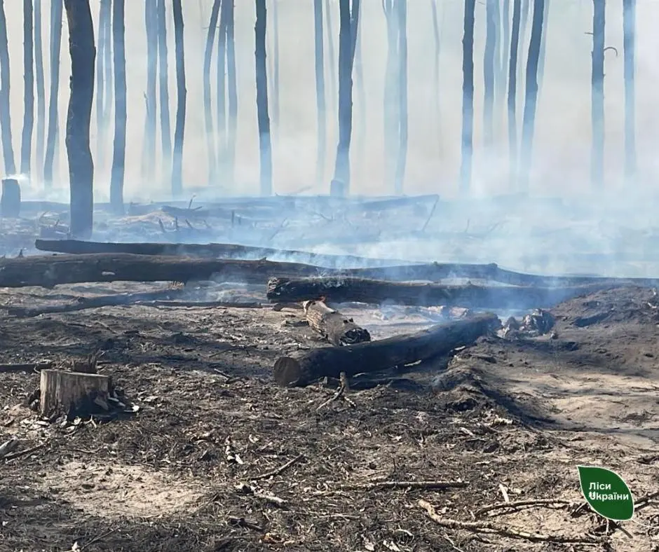 Ліс спалахнув на Харківщині через російські обстріли