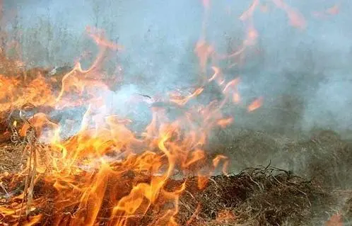 Пожежа на Одещині: рятувальники виявили тіло загиблого