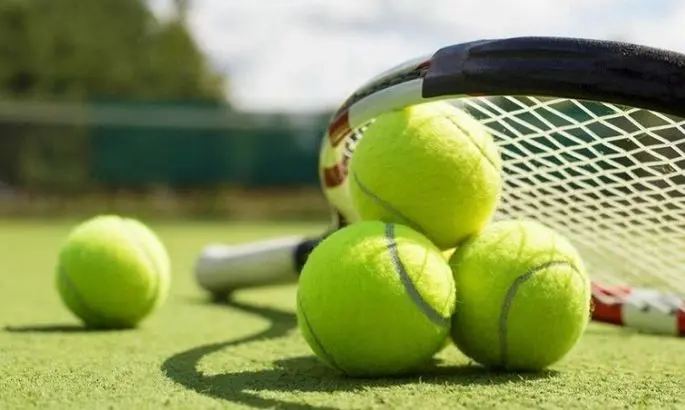 Турнир ATP могли перенести из Сербии из-за конфликта Джоковича с правительством