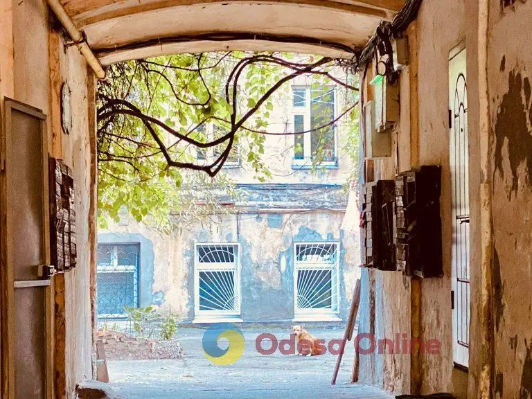 Вихідні та початок тижня на Одещині пройдуть без опадів