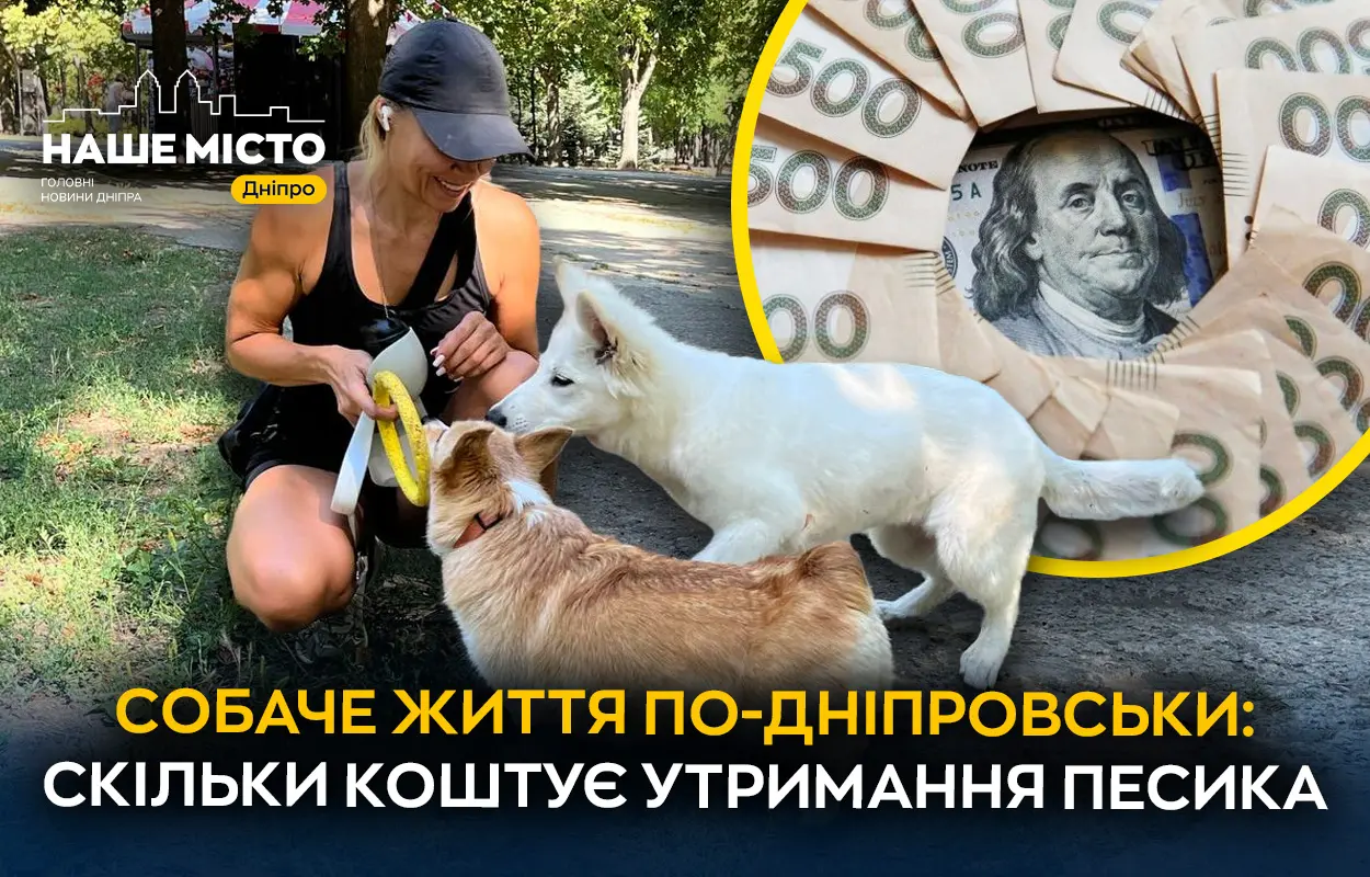Скільки дніпряни витрачають на утримання песиків (опитування)
