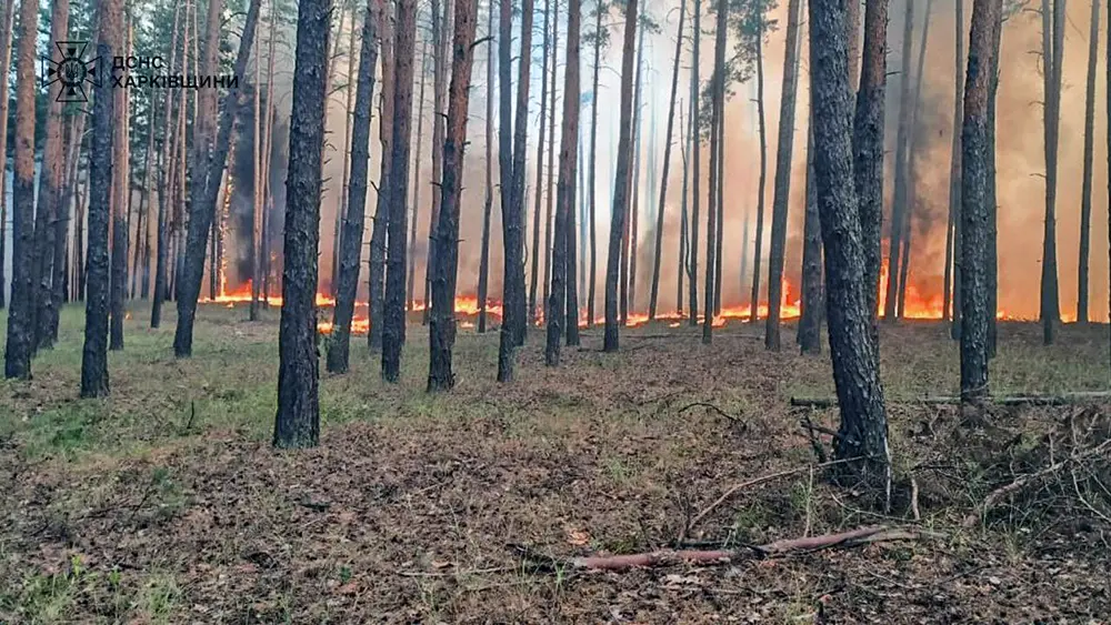 Рятувальники гасять лісові пожежі в Харківській області (фото)