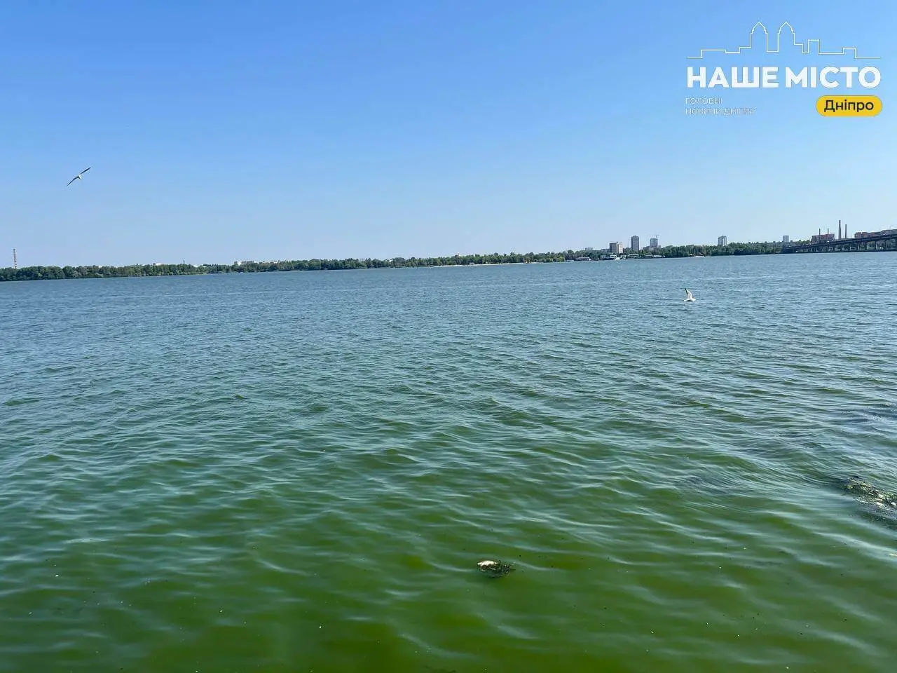 Небезпечні місця для купання у Дніпропетровській області