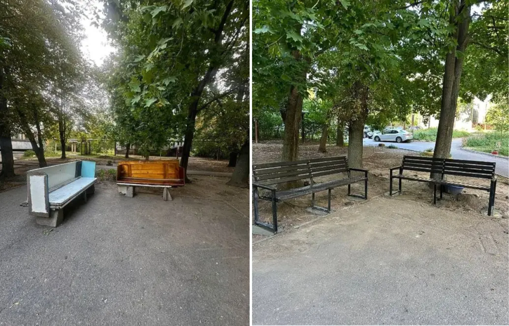 У Дніпрі продовжують видаляти аварійні дерева та встановлювати лавочки за заявками містян