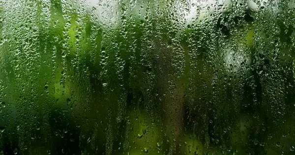 Приберете конденсат з вікон за одну ніч: використайте один інгредієнт