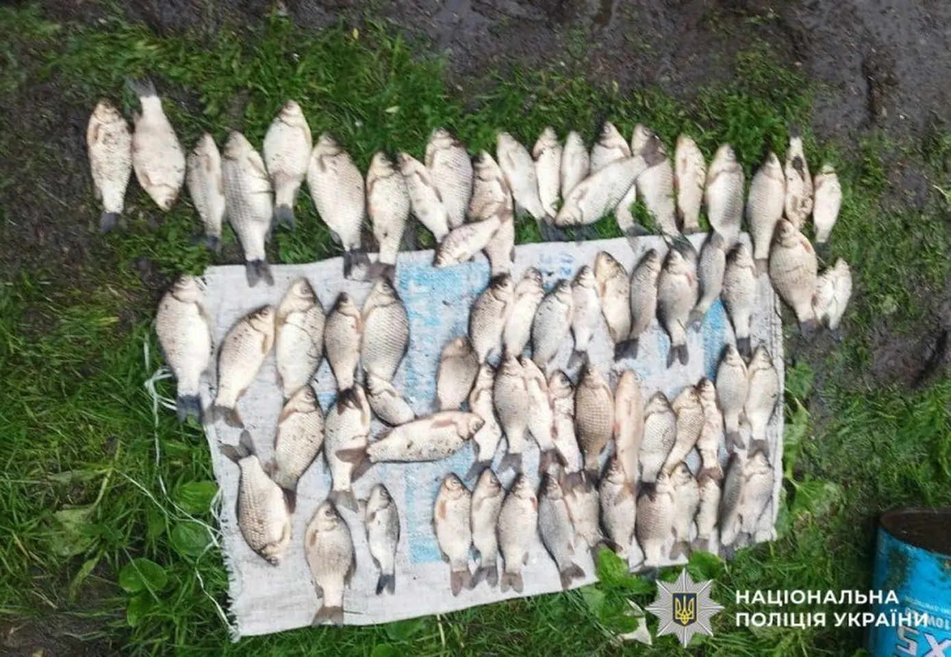 На Вінниччині викрили майже 250 фактів браконьєрства