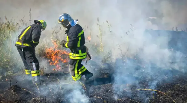 За добу на Буковині сталося 6 загорянь сухостою