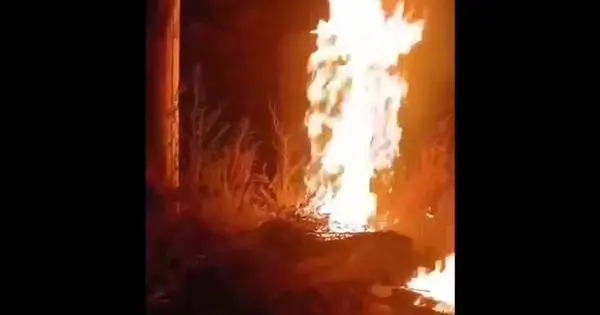 Партизани завдали удару по логістиці росіян на окупованій Луганщині