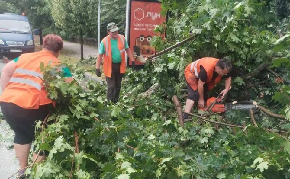 Повалені дерева та постраждалі люди: буревій у Києві наробив біди