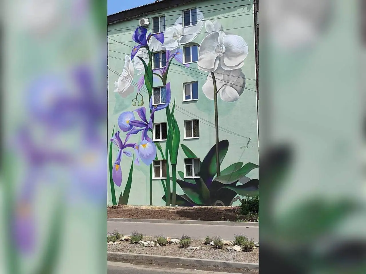 Зображення