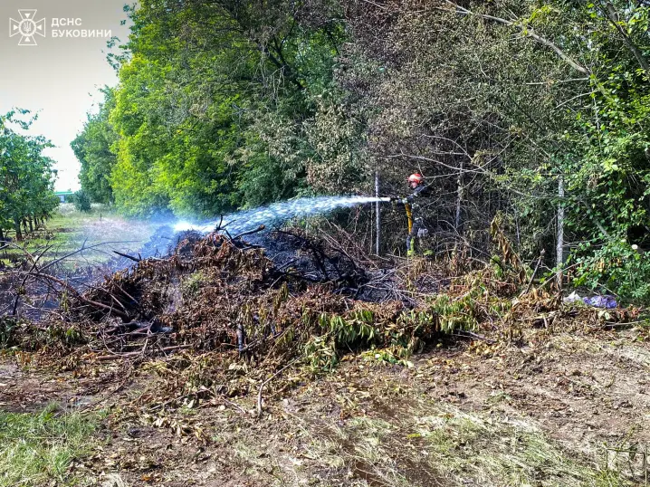 Біля Недобоївців вогнеборці ліквідували пожежу на відкритій території