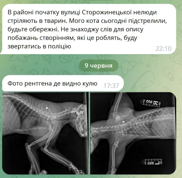 Зображення
