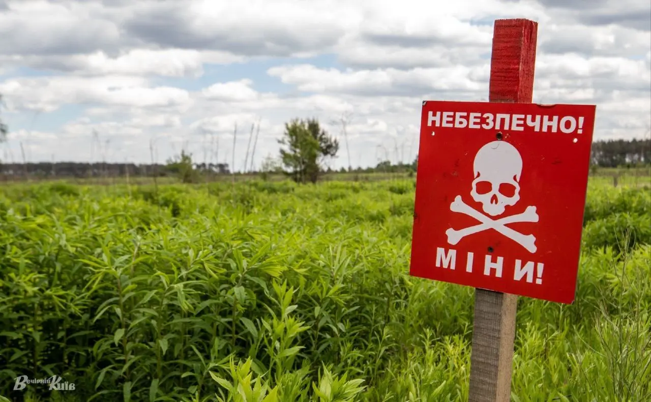 Розмінування України: скільки знешкодили небезпечних предметів та скільки територій очистили
