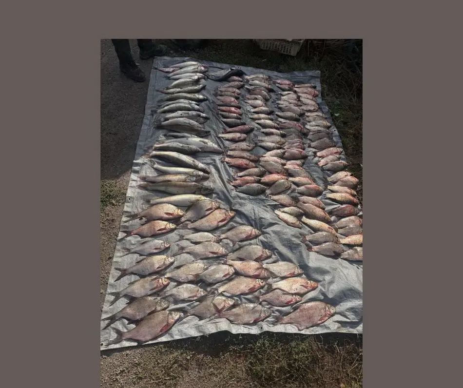 На Вінниччині чоловік наловив риби в Південному Бузі на понад 277 тисяч гривень