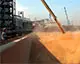 Вартість українського агроекспорту зросла на понад третину