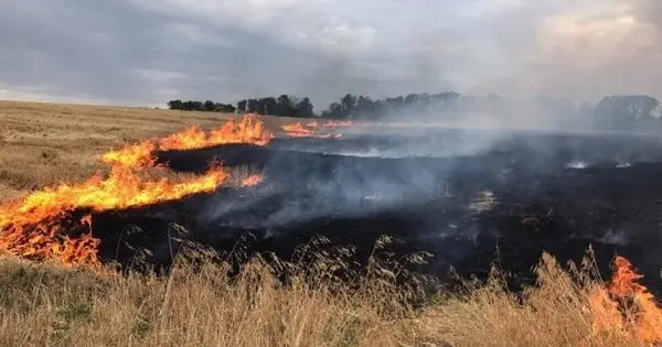 На Львівщині чоловік отримав опіки під час пожежі сухостою