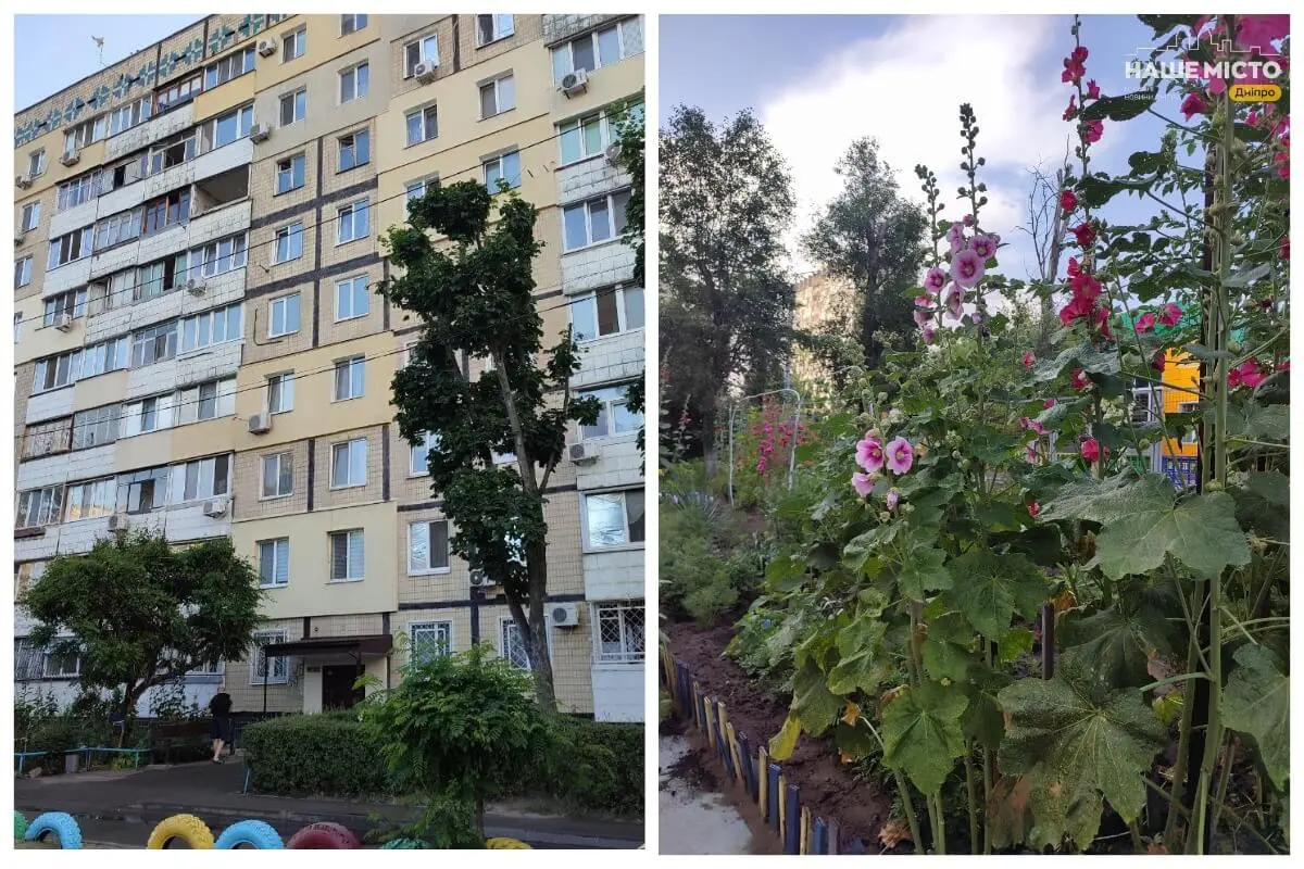 Зображення
