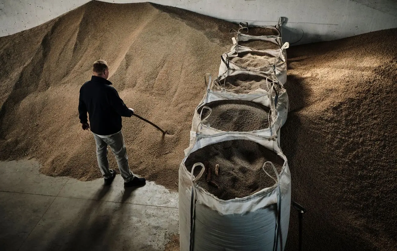 ЄС збільшив квоти на імпорт сільгосппродукції з України