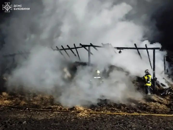 На Буковині вогнеборці ліквідовували масштабну пожежу