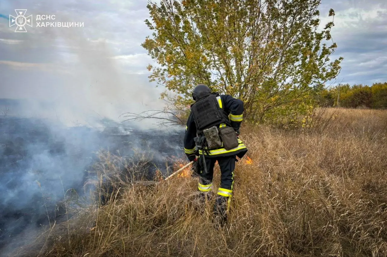 На Харківщині горіло 1,5 га після “прильоту” безпілотника (фото)