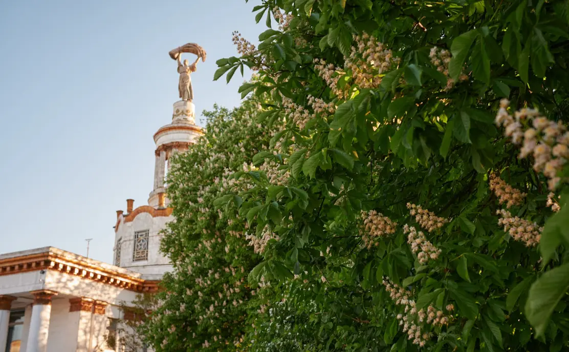 На столичному ВДНГ стартує літній квітковий сезон: що підготували відвідувачам