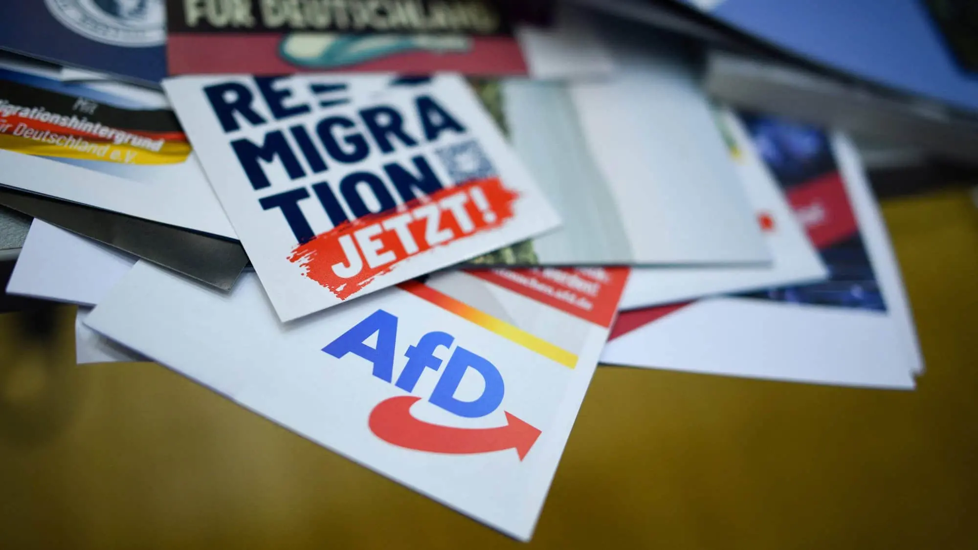 Скандальні заяви лідера AfD щодо українських біженців
