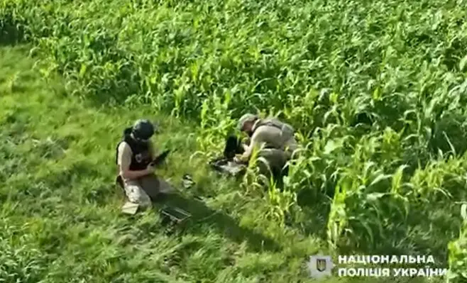 Бойову частину БпЛА знайшли на кукурудзяному полі на Вінниччині