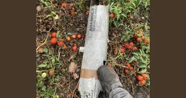 НАТО витратило мільйони доларів на збиття російських дронів над Польщею