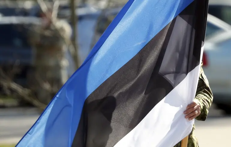 В Естонії у полі впав дрон, ймовірно, українського виробництва