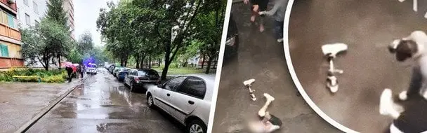Повалив та бив ветерана у калюжі в Харкові: нові подробиці гучної історії
