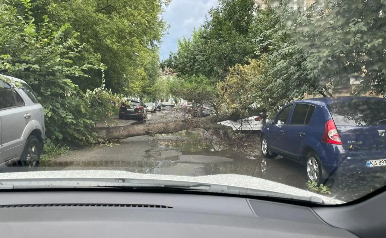 У Києві ліквідовують наслідки негоди: повалені десятки дерев, заблоковані дороги й трамвайні колії