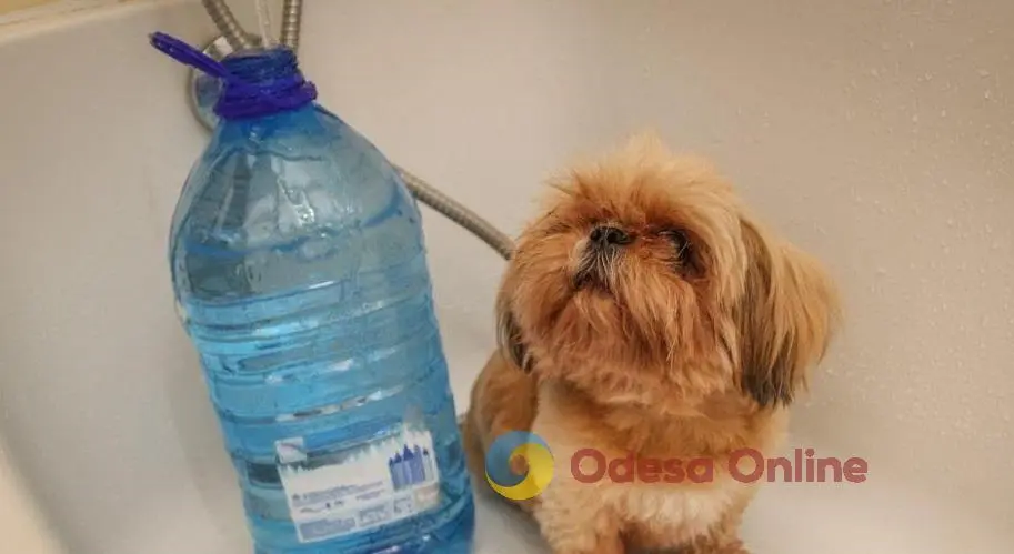 В Одесі мешканцям низки вулиць відключили воду (оновлено)