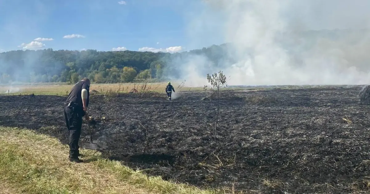 У Харківському районі зайнялося поле