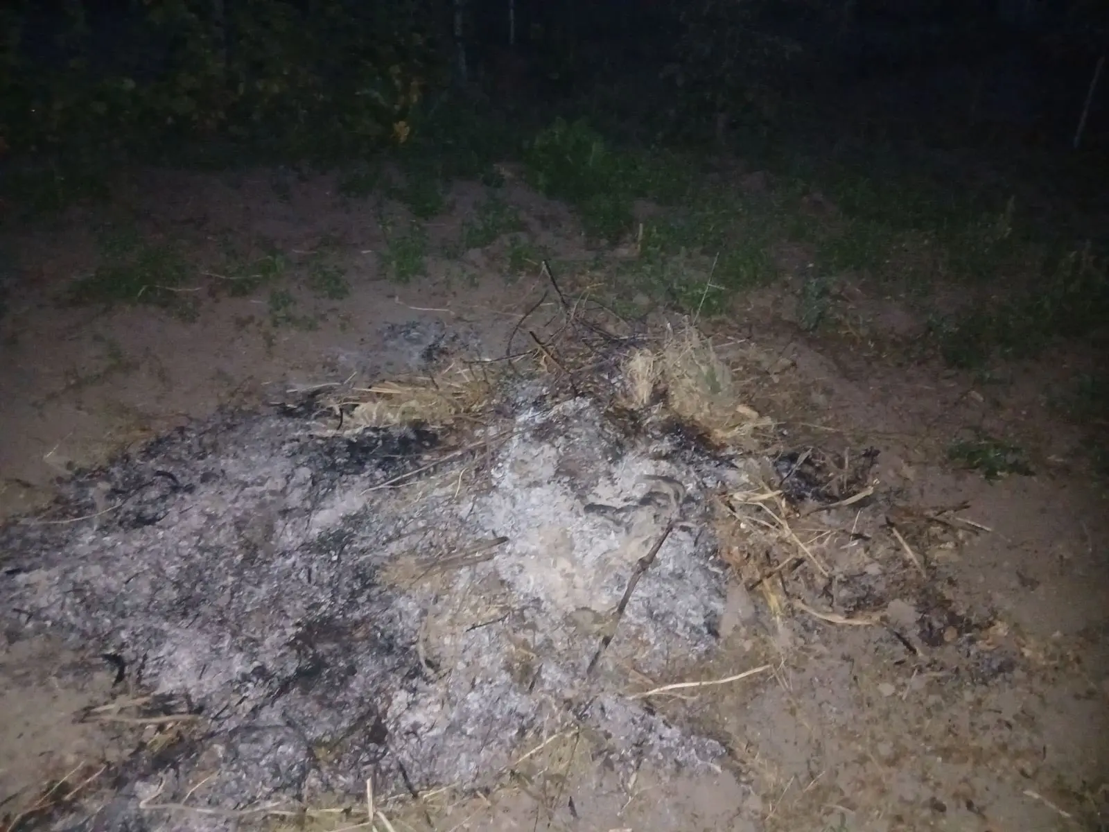 У Вінниці “Муніципальна варта” зафіксувала кілька випадків спалювання відходів