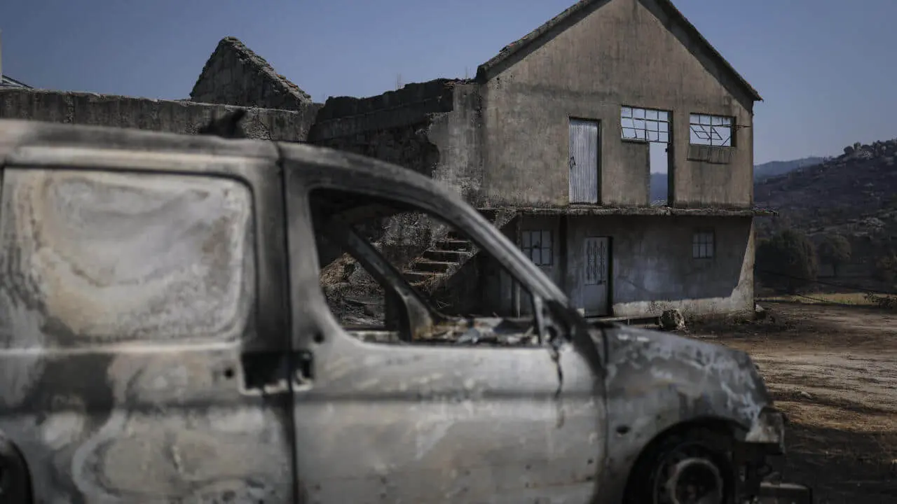 Португалія підраховує збитки від найбільшої лісової пожежі в історії країни