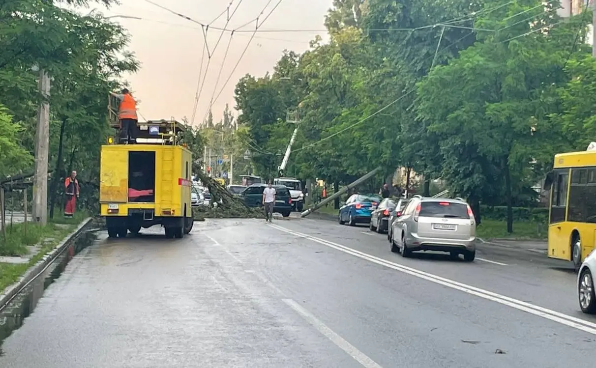 Попадали дерева й заблокували рух: у Києві ліквідовують наслідки зливи