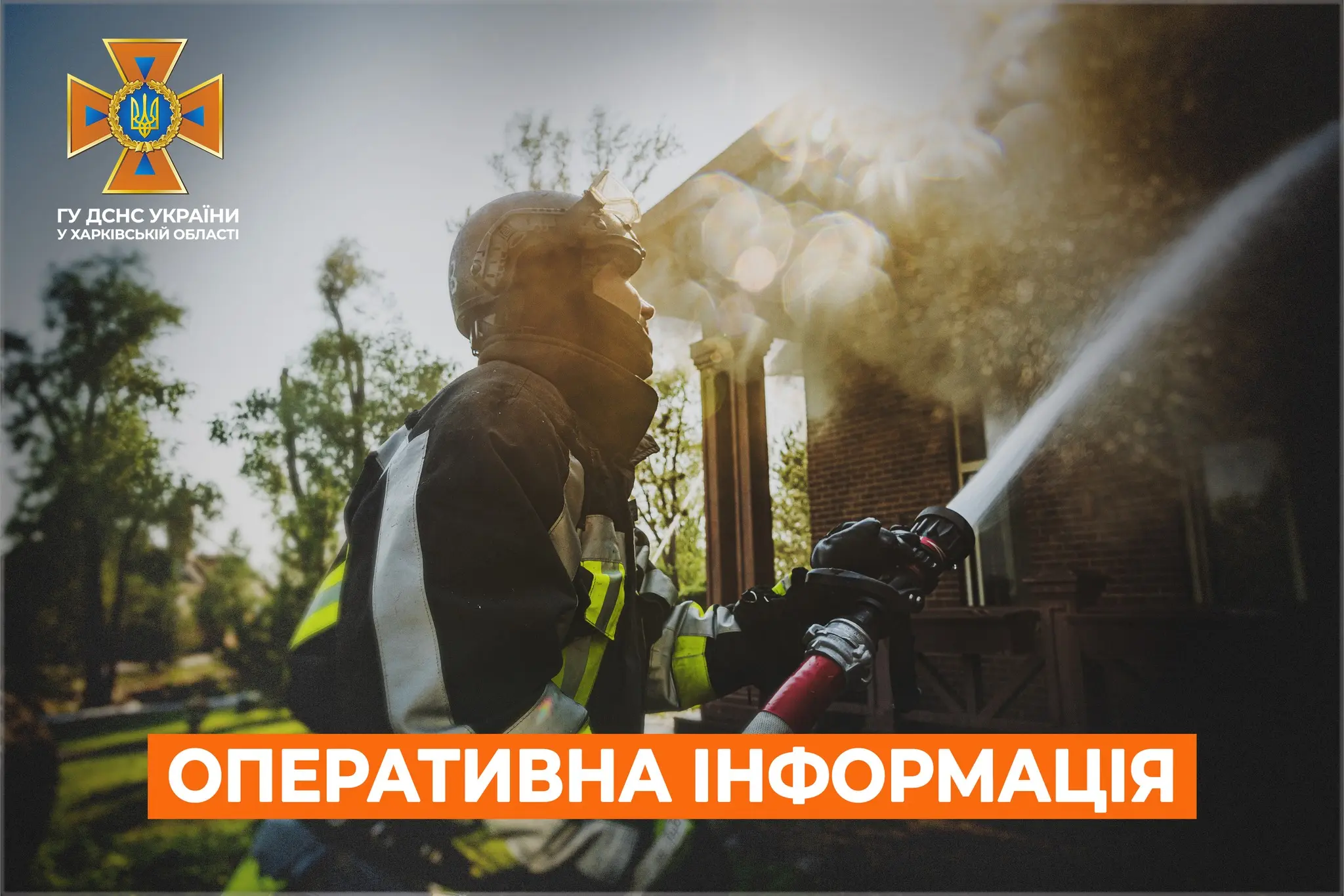 Ліквідація масштабної лісової пожежі, удар по бараку: як минула доба у ДСНС