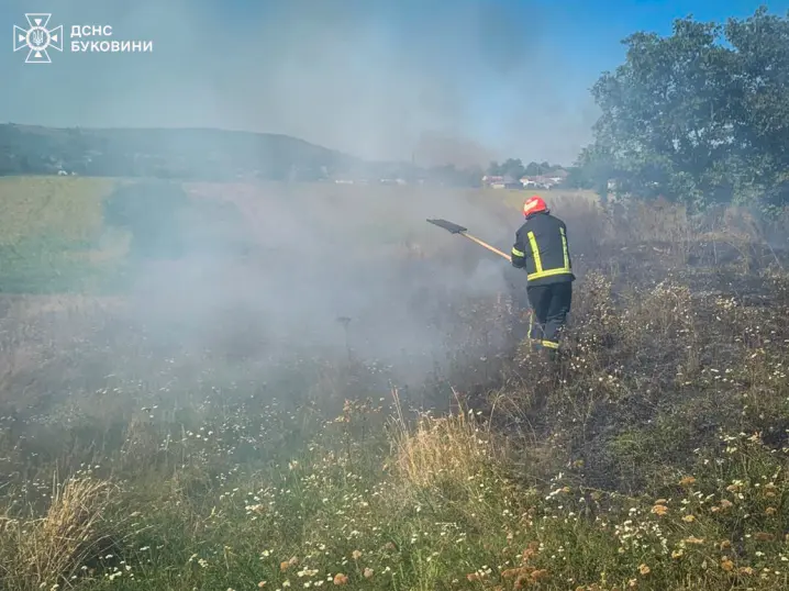 Через підпал на Буковині горів гектар сухої трави