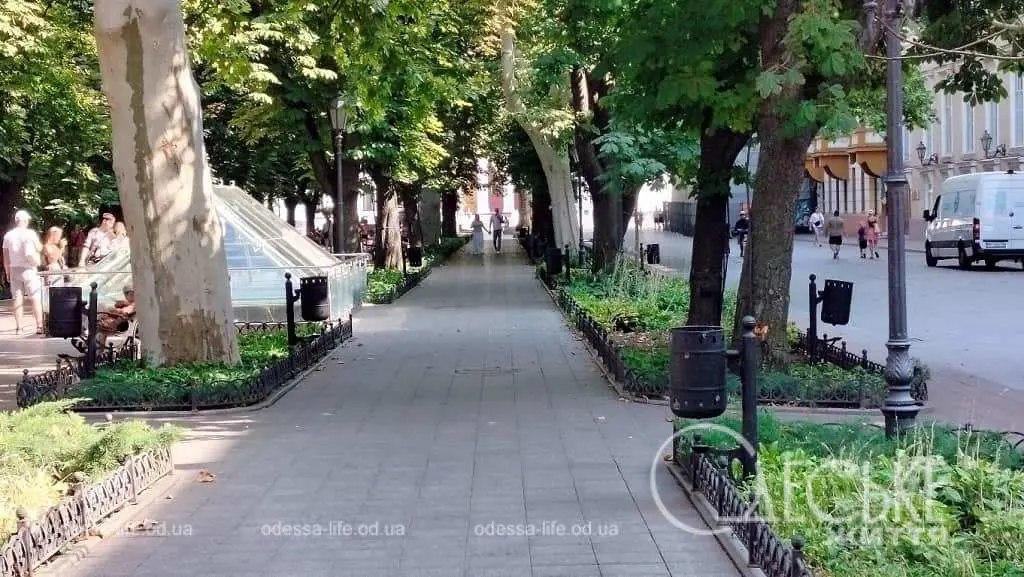 Погода Одеса та область: прогноз на 13 серпня 2025