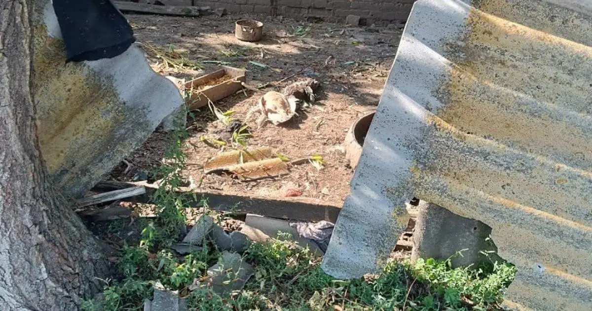 Росіяни поранили двох мешканців Харківщини