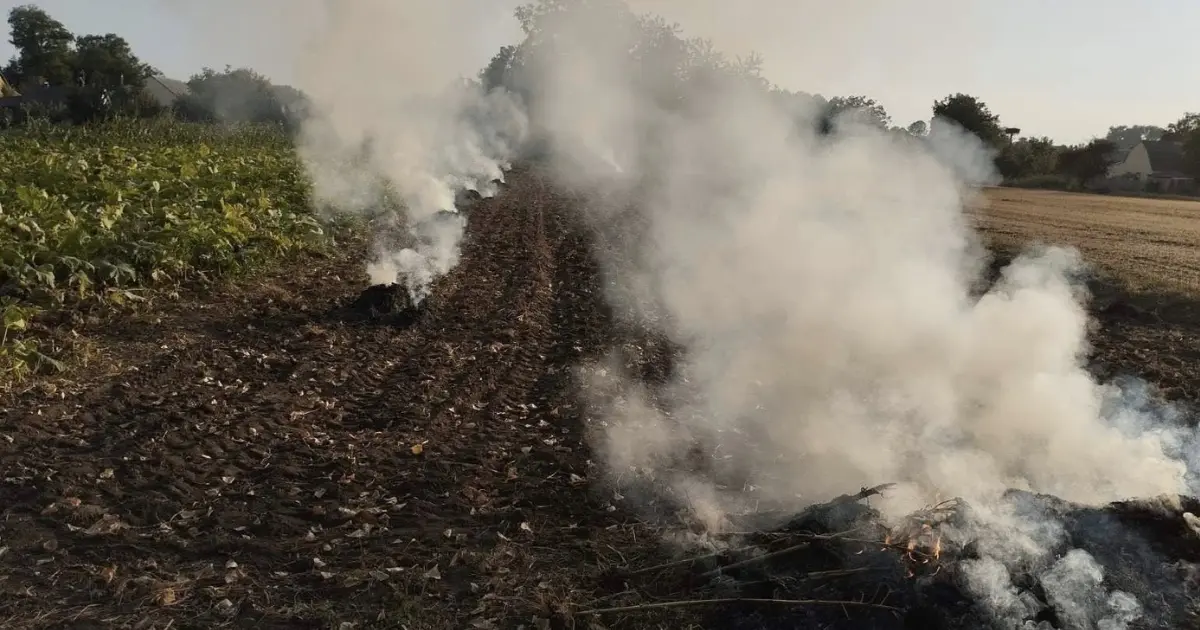 У Вінниці та Гавришівці зафіксували порушників, які спалювали рослинні відходи