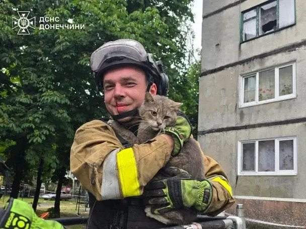 Дві доби на межі життя: рятувальники витягли котика з-під завалів