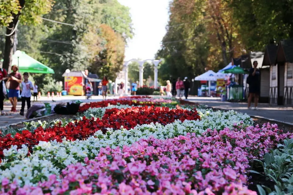 У Вінниці відбудеться ярмарок соціальних послуг